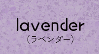 lavender(ラベンダー)